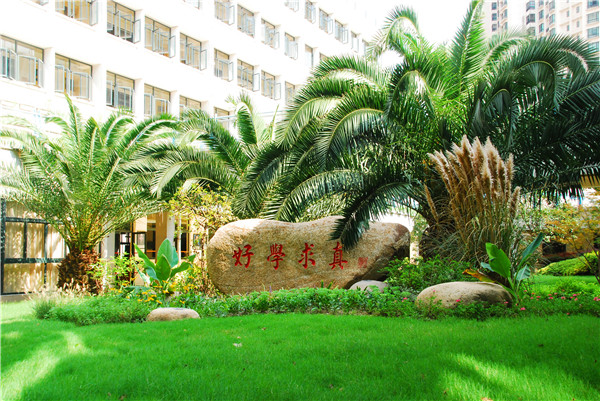 责任督学主题性随访督导反馈内容